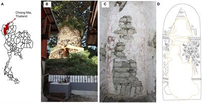 Life on the wall: the diversity and activity of microbes on 13th – century AD. Lan Na mural painting